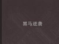 半岛体育app-无畏契约焦点战：星辰联盟对战冰川之巅，秀翻全场，被称为黑马逆袭